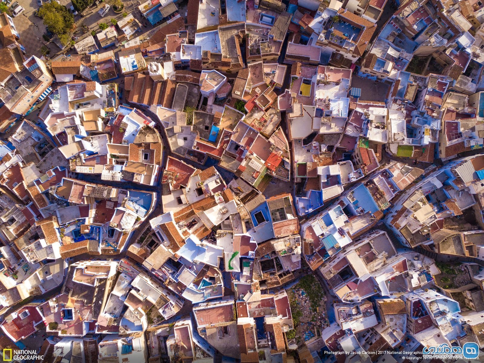 عکس منتخب نشنال جئوگرافیک | هزارتوی مراکش