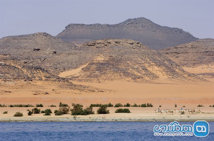 وادی الحیتان Wadi Al-Hitan در مصر