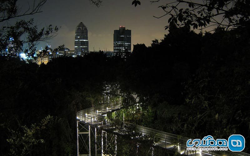  5. پیاده روی بر بلندی های جنوبی شهر سنگاپور