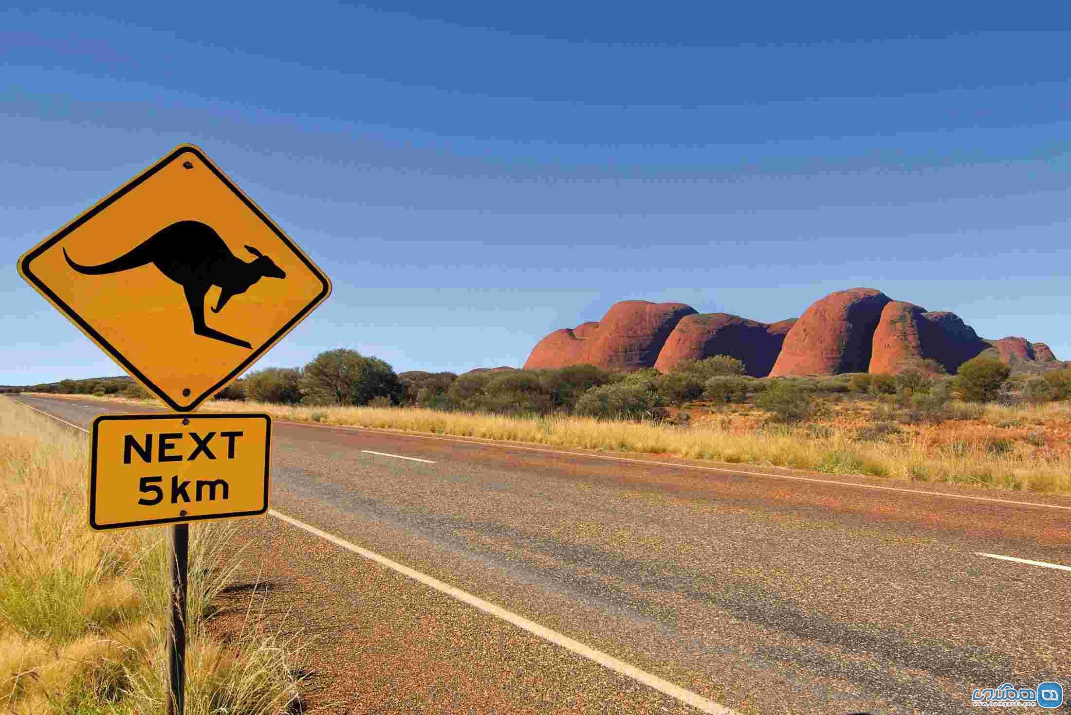 داستان عجیب وجود شتر های وحشی در استرالیا: منطقه آوت بک