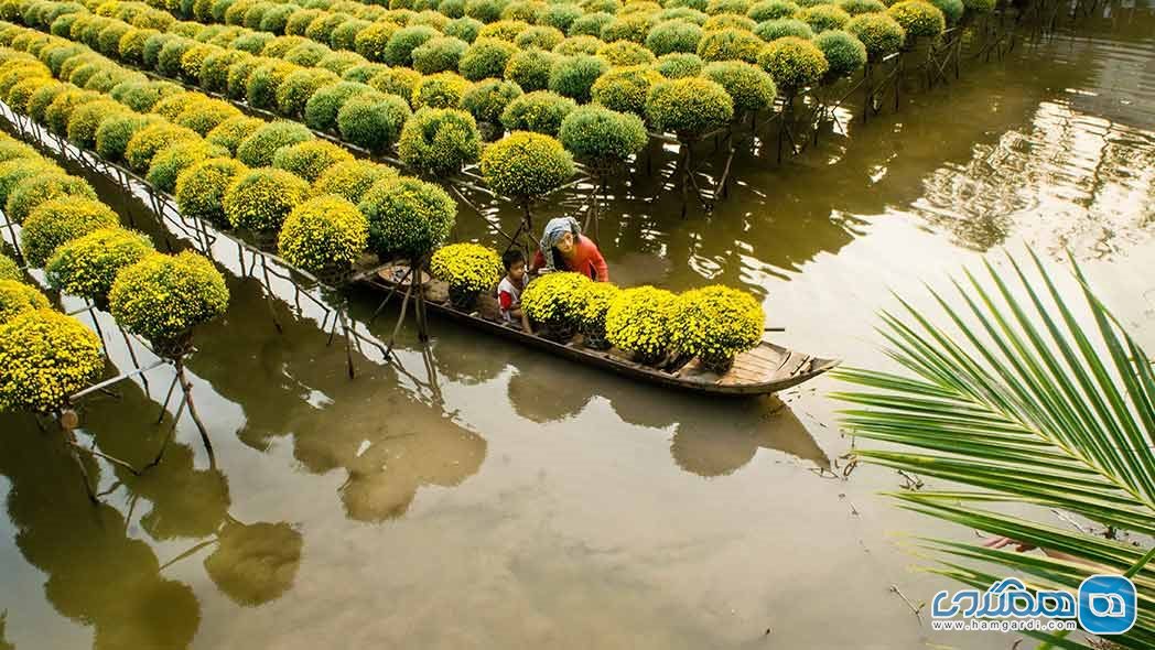 دلتای رود مکونگ در ویتنام