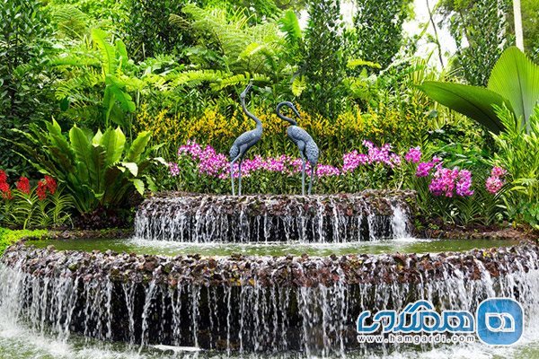 باغ گیاه شناسی سنگاپور