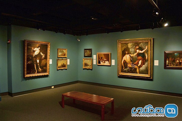 موزه هنر و باستان شناسی کلمبیا