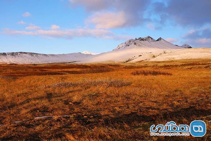 اردو زدن در ایسلند