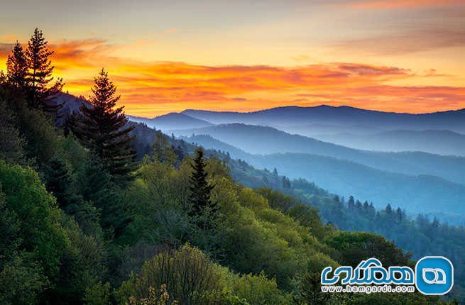پارک ملی گریت اسموکی ماونتنز Great Smoky Mountains National Park