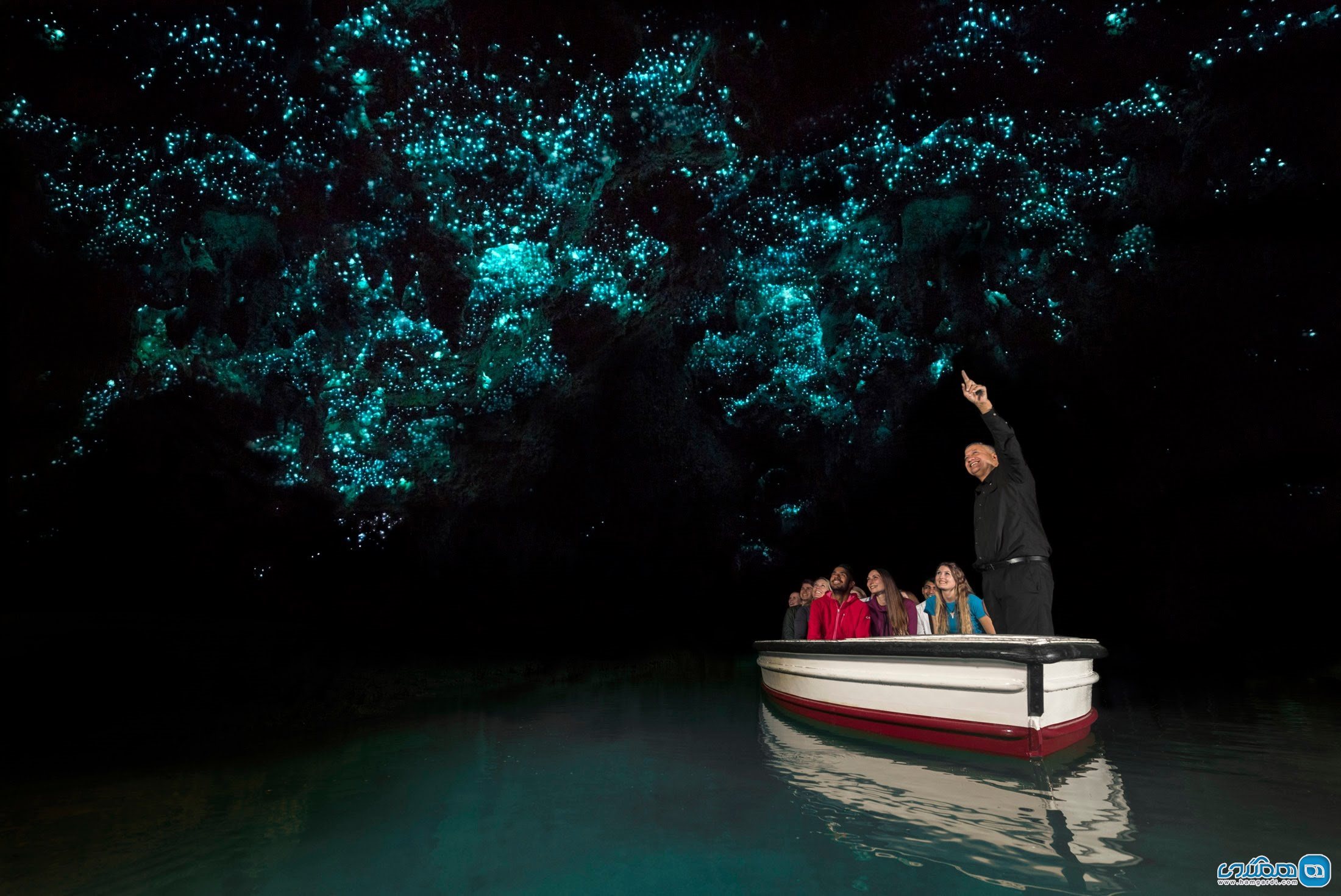غار کرم شب تاب در نیوزیلند (Waitomo Glowworm)