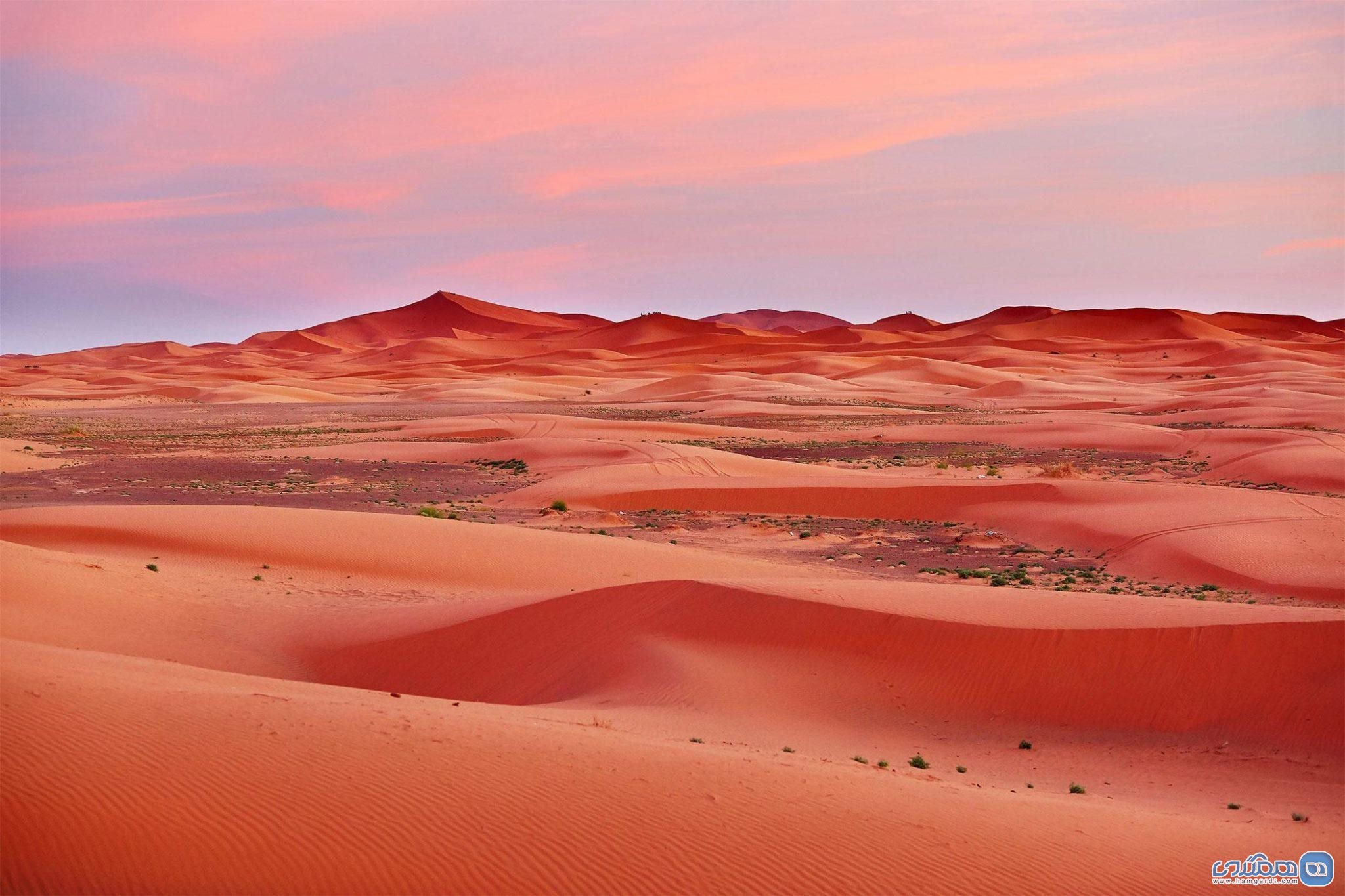 به اردو یا کمپ در بیابان Sahara بروید