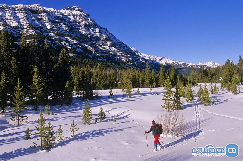 طی کردن مسیر اسکی با پای پیاده، چوب اسکی یا پاچیله