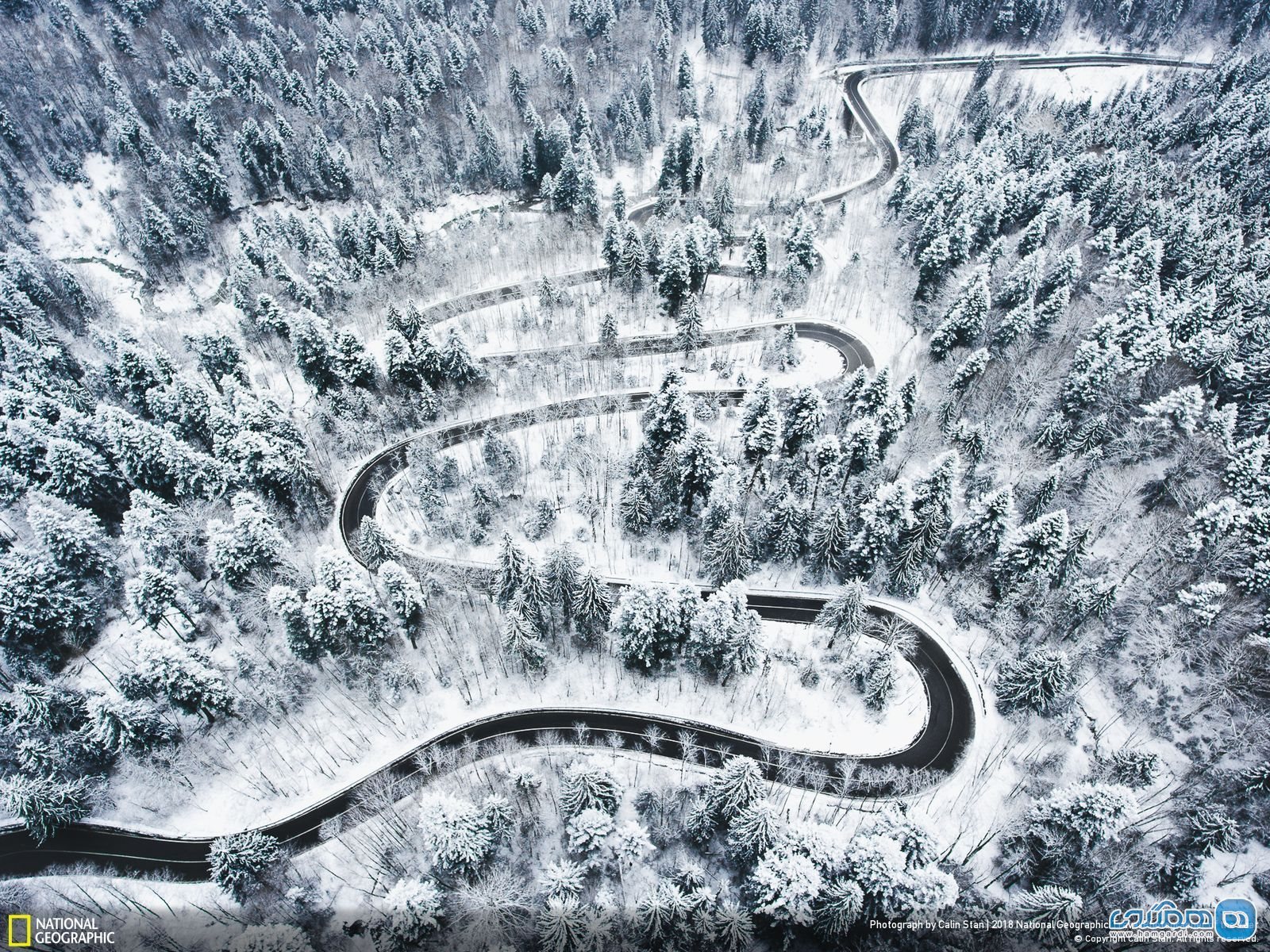 عکس منتخب نشنال جئوگرافیک | زمستان ترنسیوانیا 