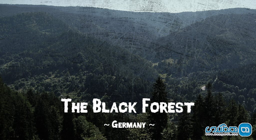 جنگل سیاه آلمان