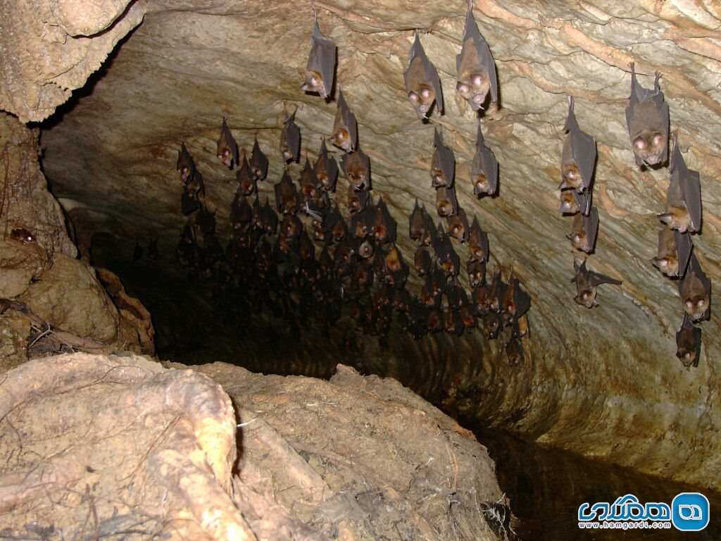 غار نوردی در ایلام