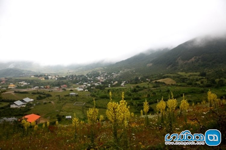 روستای داماش