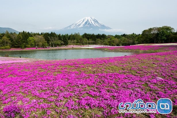 سفر با کوله پشتی به کوه فوجی Mount Fuji