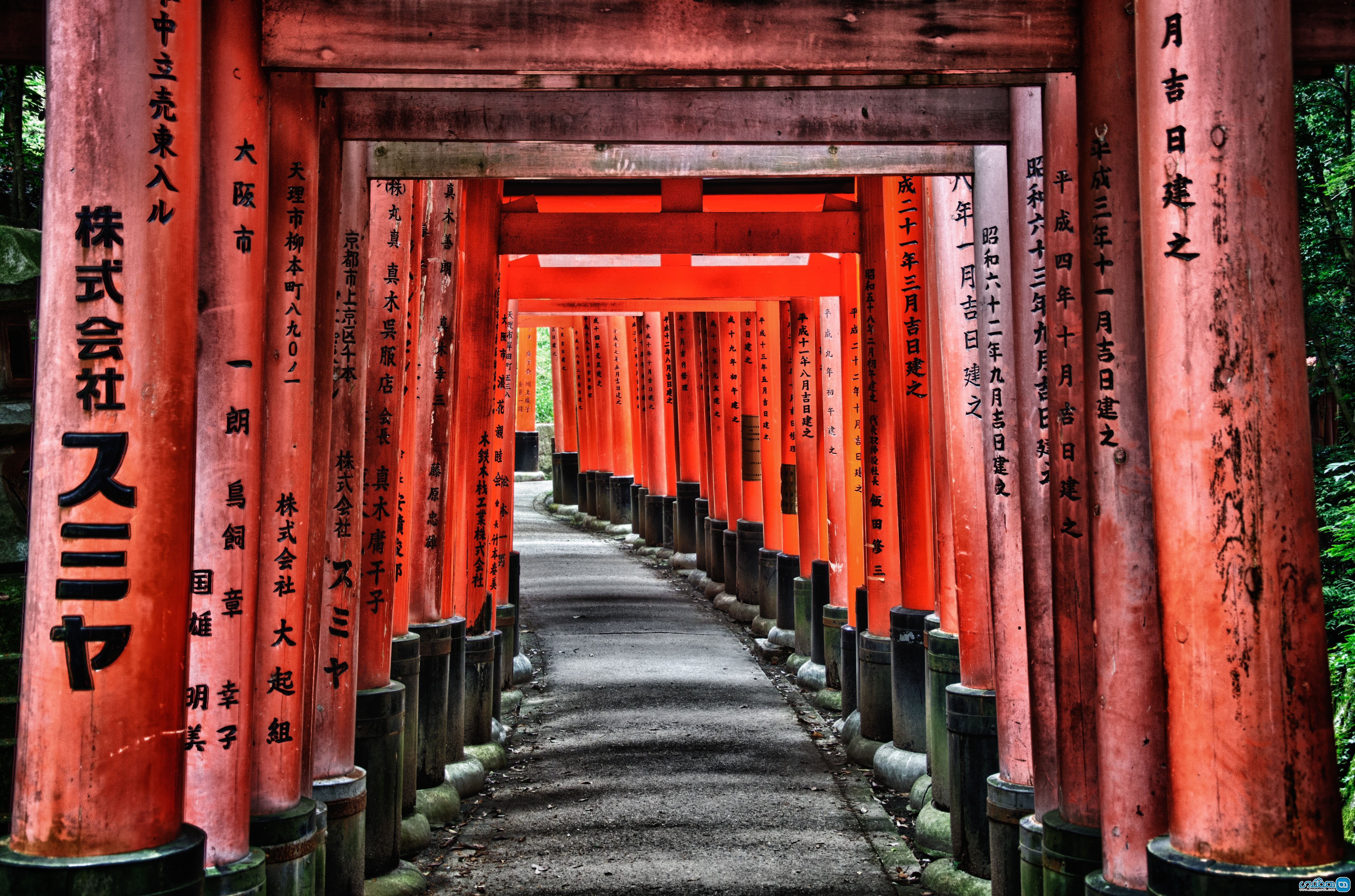 سفر با کوله پشتی به کیوتو Kyoto