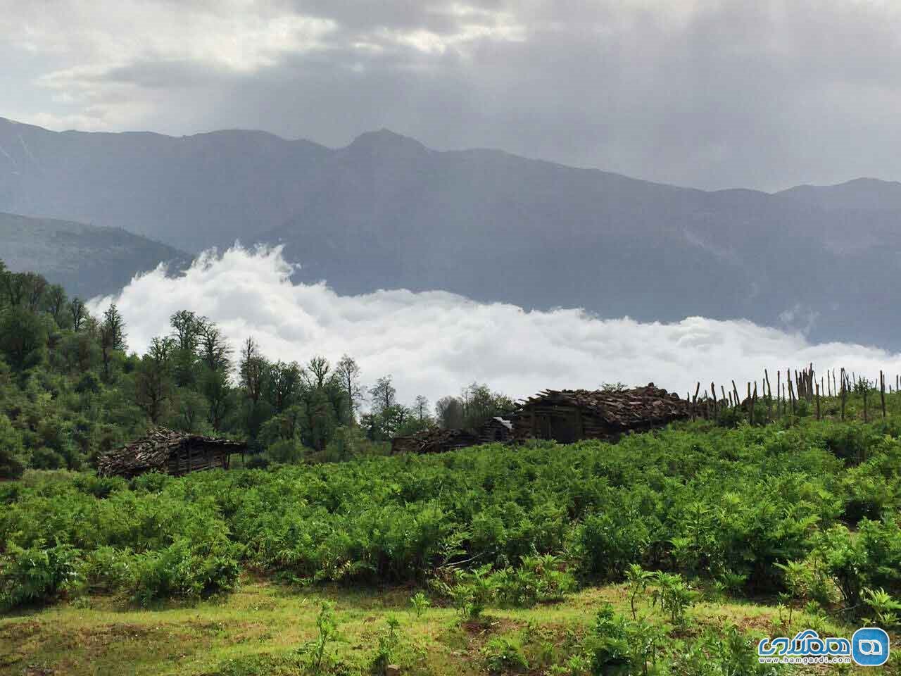 عکاسی درطبیعت زیبای جنگل ابر کوه شاهرود