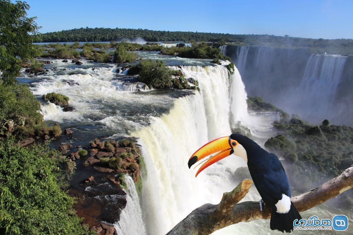 آبشار های ایگوآزو Iguazu Falls در آرژانتین