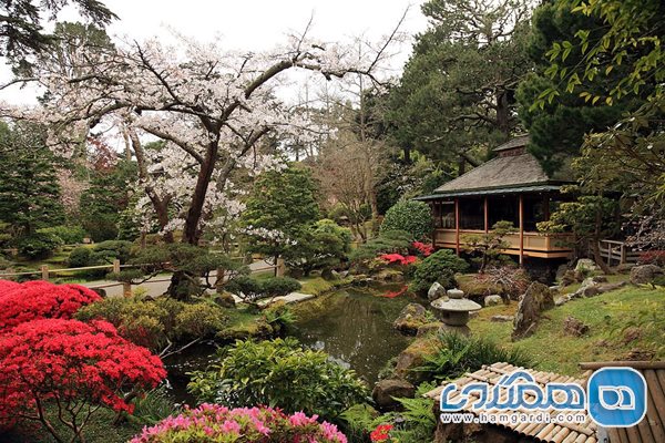 پارک گلدن گیت | باغ چای ژاپنی یا Japanese Tea Garden