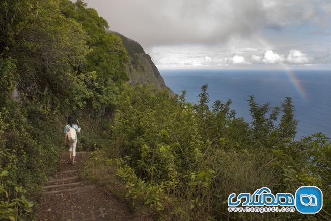 رمانتیک ترین سفر های ماجراجویانه : قاطر سواری روی صخره های مولوکای Molokai در هاوایی
