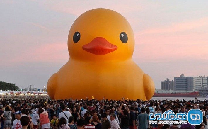 مسابقه شماره سه: شنای اردک های پلاستیکی در مسابقه ای عجیب و بسیار پر هیجان