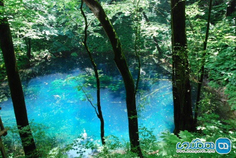 تالاب آبی Blue Pond در استان آئوموری