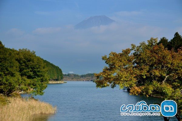 دریاچه تانوکی Lake Tanuki در استان شیزوکا