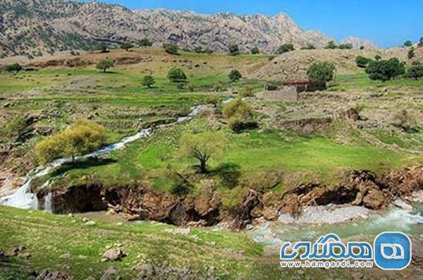 آشنایی مختصر با مامن تالاب شادگان، استان سرفراز خوزستان 3