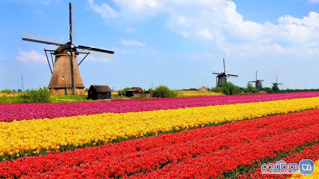 سفر به هلند