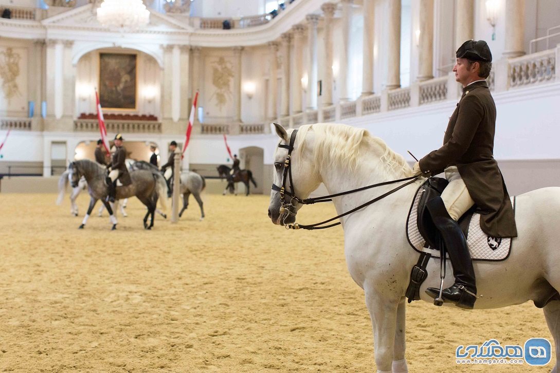 مدرسه سوارکاری اسپانیایی Spanish Riding School در وین Vienna