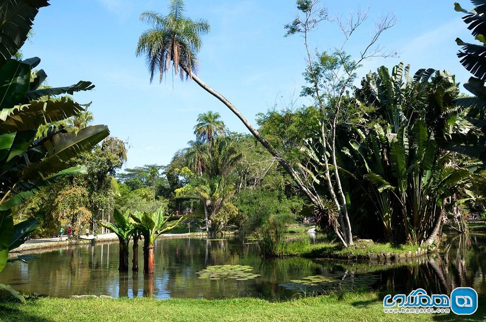 باغ گیاه شناسی ریو دو ژانیرو Rio de Janeiro Botanical Garden