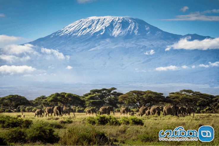 کوه کلیمانجارو Mount Kilimanjaro