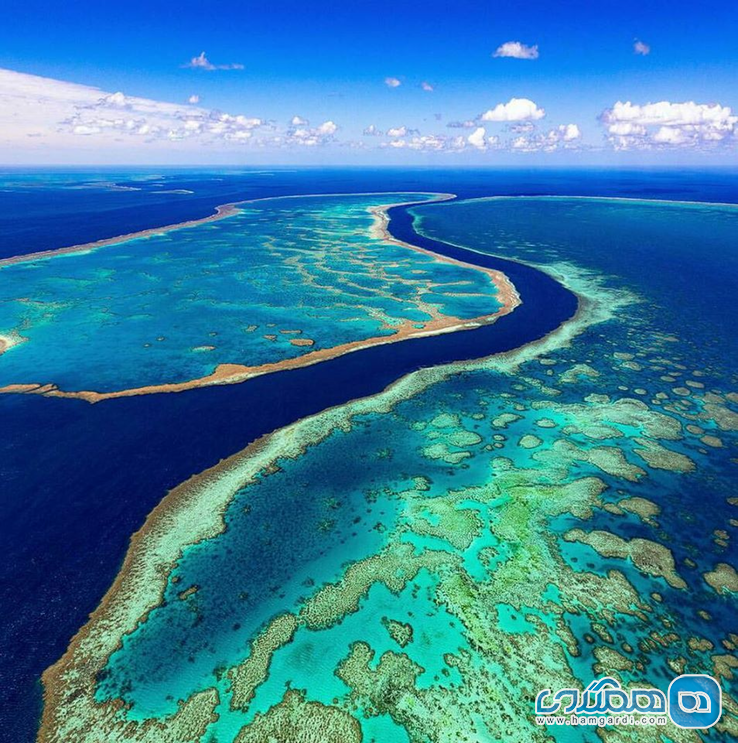 دیواره بزرگ مرجانی Great Barrier Reef