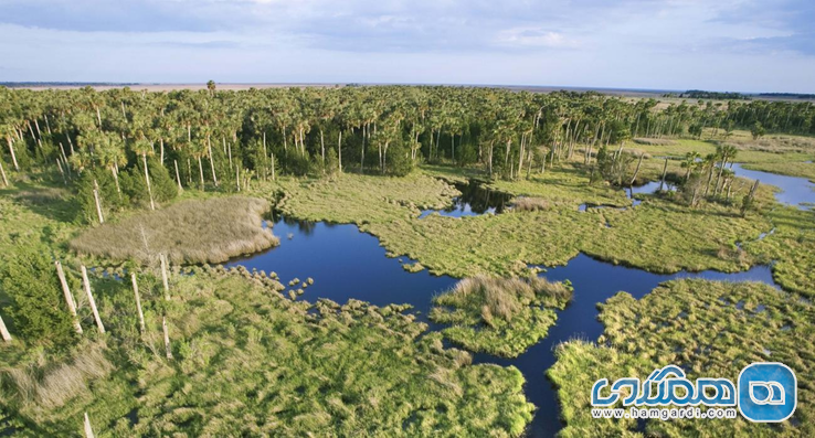 پارک ملی اورگلیدز Everglades National Park