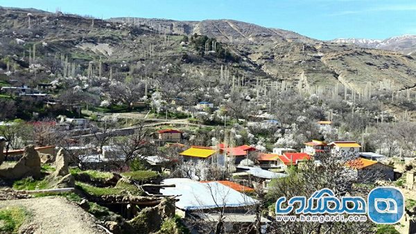 روستای چاله