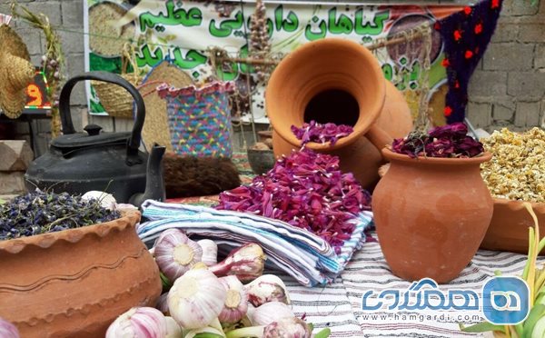 برگزاری جشنواره گل گاوزبان در جنت رودبار