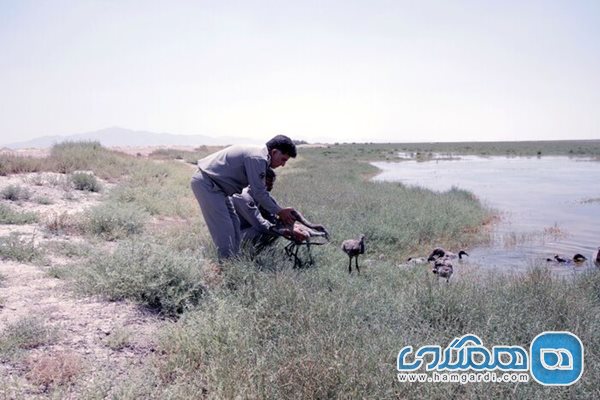 دریاچه بختگان فارس 4