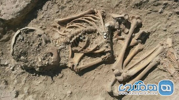 کشف اسکلت ۵ هزار ساله در ترکیه