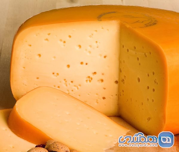 پنیرهای هلندی
