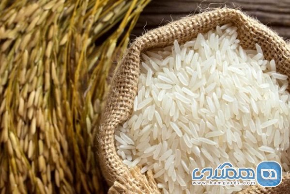 ممنوعیت برنج، نان و نشاسته در رژیم اشتباه است