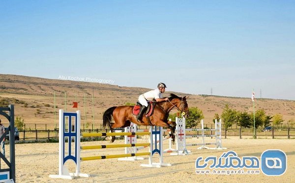 باشگاه سوارکاری (Riding Club)