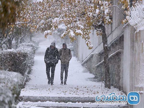 برف در سطح تهران