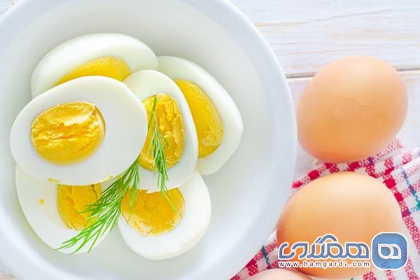 غالبا تخم مرغ های سرو شده مصنوعی هستند