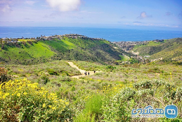 پارک حیات وحش لاگونا کوست Laguna Coast Wilderness Park