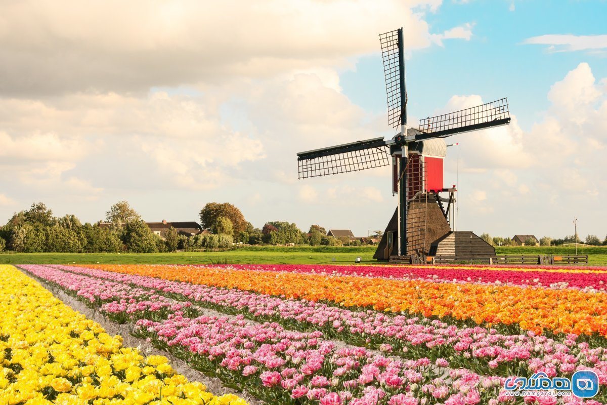 هلند Netherlands