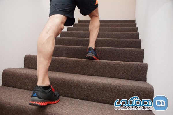 بالا و پایین رفتن از پله ها چه عضلاتی را درگیر می کند؟