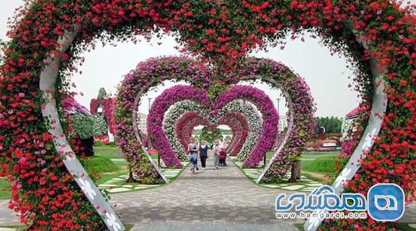 Miracle Flower Garden Dubai5