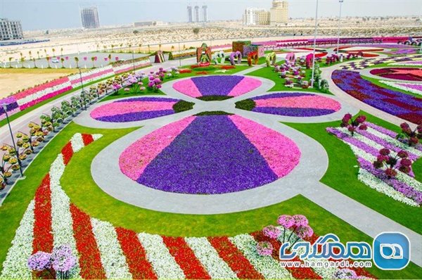 Miracle Flower Garden Dubai4