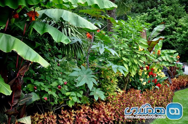 باغ های گل بوچارت چه خدماتی به بازدیدکنندگان ارائه می دهند؟
