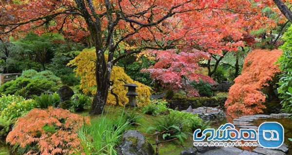 باغ ژاپنی (Japanese Garden)