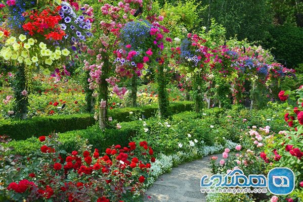 باغ رز (Rose Garden)