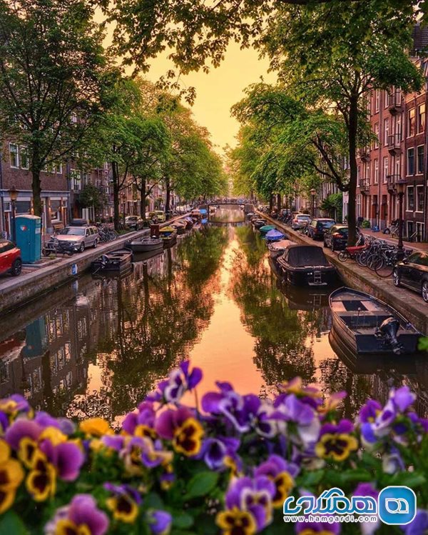 شهر آمستردام 2